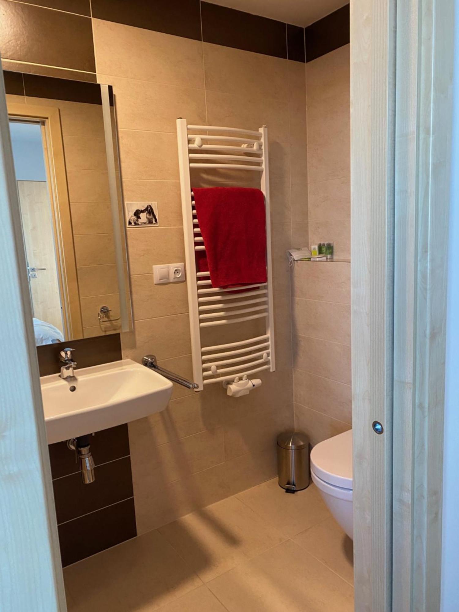 Penthouse Mit Balkon In Zentraler Lage In * Plzen